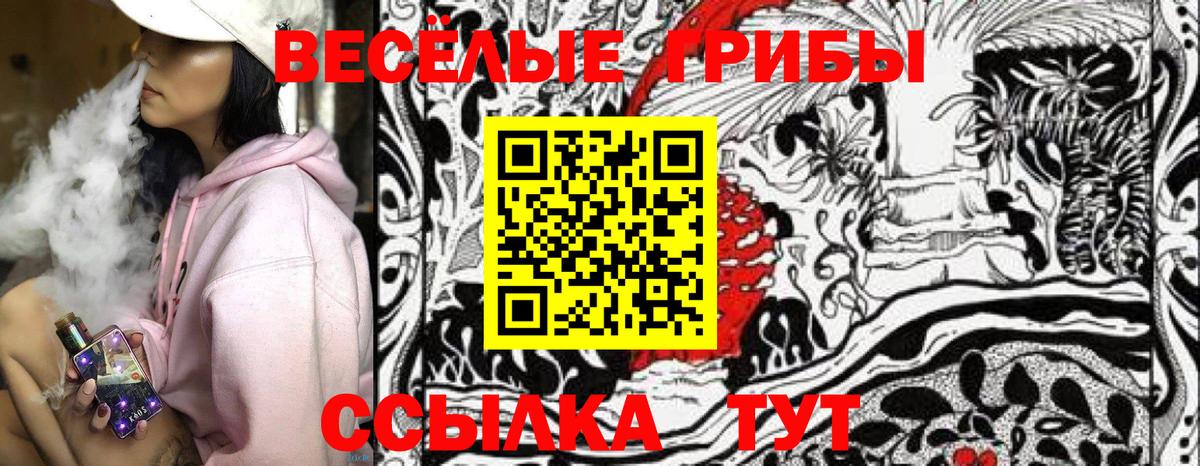 купить  цена  Вход с VPN  Калач-на-Дону  Псилоцибиновые грибы MAGIC MUSHROOMS 